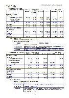 平成19年3月期決算要旨