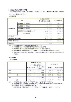 平成16年度半期報告書 P14