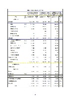 平成16年度半期報告書 P24