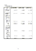 平成16年度半期報告書 P38