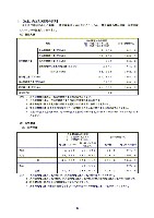 平成17年度半期報告書 P14