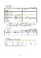 平成17年度半期報告書 P20