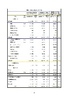 平成17年度半期報告書 P24