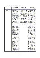 平成17年度半期報告書 P29