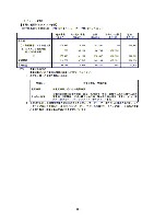 平成17年度半期報告書 P51