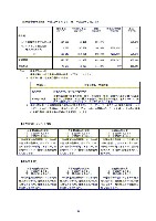 平成17年度半期報告書 P53