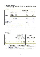 平成18年度　半期報告書 P13