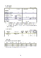 平成18年度　半期報告書 P19