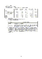 平成18年度　半期報告書 P51