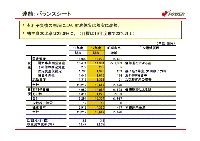 平成18年3月期 決算説明会資料 P10