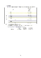 平成16年度有価証券報告書 P43