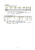 平成16年度有価証券報告書 P49