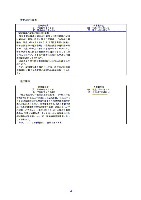 平成17年度有価証券報告書 P101