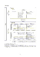 平成17年度有価証券報告書 P11