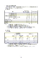 平成17年度有価証券報告書 P18