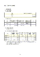 平成17年度有価証券報告書 P43