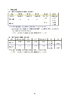 平成17年度有価証券報告書 P48