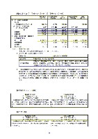 平成17年度有価証券報告書 P83