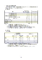 平成18年度 有価証券報告書