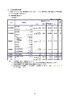 平成18年度 有価証券報告書