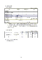 平成18年度 有価証券報告書