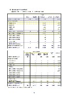 平成18年度 有価証券報告書