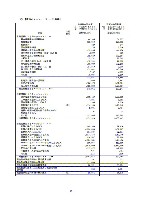 平成18年度 有価証券報告書