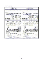 平成18年度 有価証券報告書