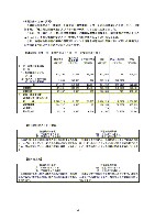 平成18年度 有価証券報告書