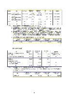 平成18年度 有価証券報告書