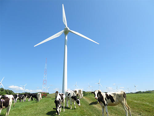 (参考:現況写真)苫前ウィンビラ発電所写真