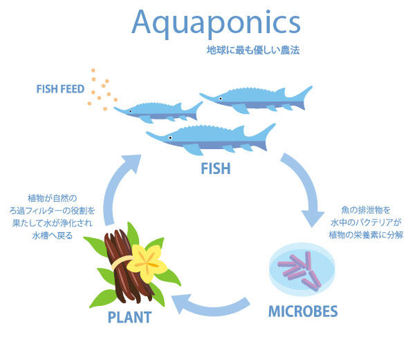 Aquaponics