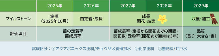 今後のスケジュール