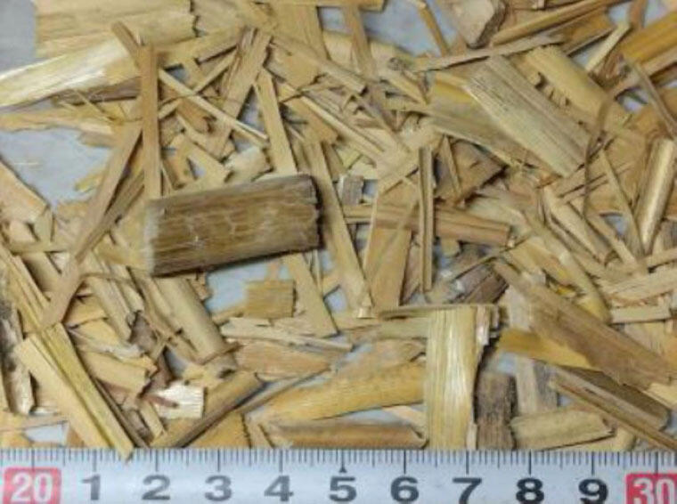 エリアンサスチップ