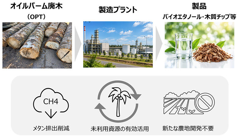 図：本事業の工程（イメージ図）