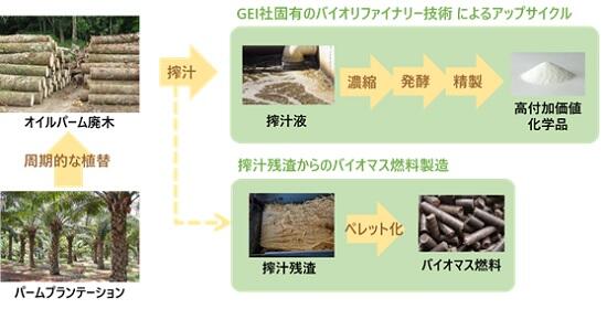 化学品およびバイオマス燃料の複合生産の概要