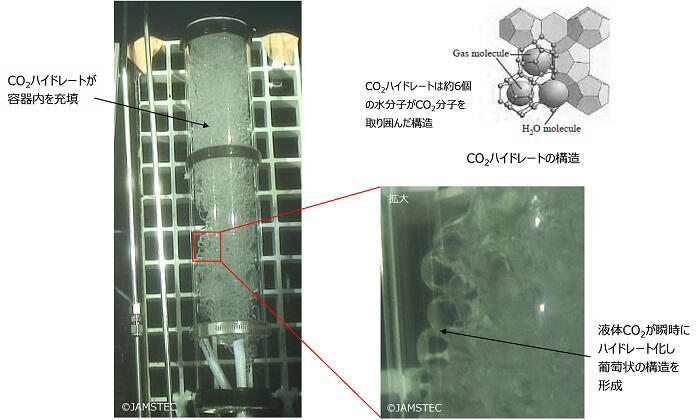 深海域で放出した液体CO2がハイドレート化する様子