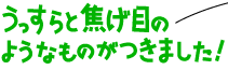 うっすらと焦げ目のようなものがつきました！