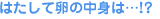 はたして卵の中身は・・・!?