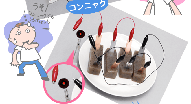コンニャク