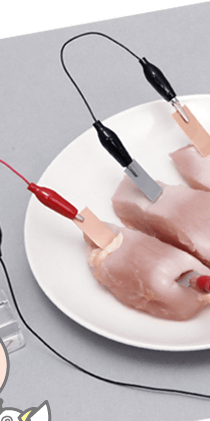 鶏肉