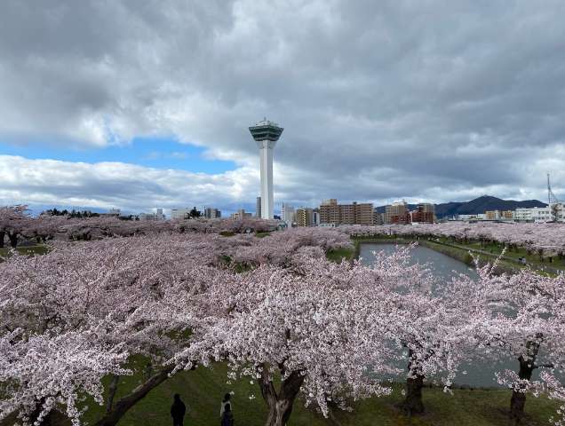 五稜郭公園