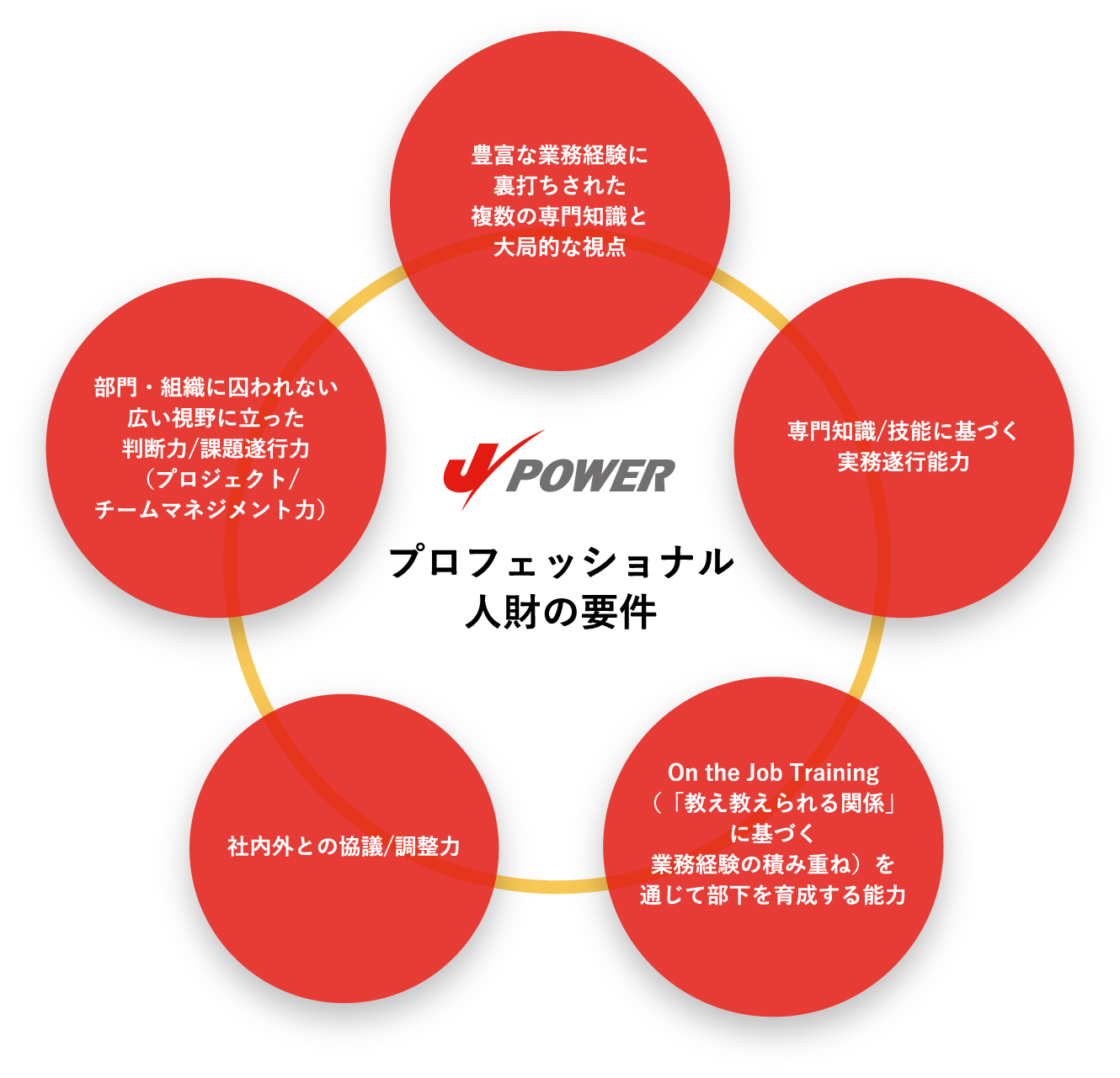 プロフェッショナル人財の要件 豊富な業務経験に裏打ちされた複数の専門知識と大局的な視点 専門知識/技能に基づく実務遂行能力 On the Job Training（「教え教えられる関係」に基づく業務経験の積み重ね）を通じて部下を育成する能力 社内外との協議/調整力 部門・組織に囚われない広い視野に立った判断力/課題遂行力（プロジェクト/チームマネジメント力）