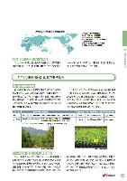 2003環境・社会行動レポート P31