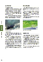 2005環境経営レポート P16