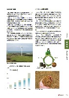2005環境経営レポート P17
