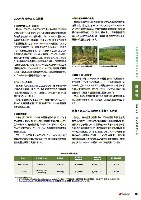 2005環境経営レポート P31