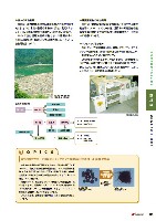 2005環境経営レポート P35