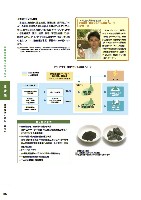 2005環境経営レポート P36