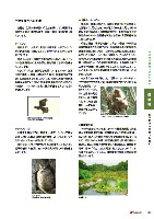 2005環境経営レポート P41